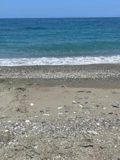 MOURTERI TASOSEVa - 0