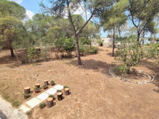Masseria San Nicola dei Baroni di Castiglione - Vignacastrisi - 5