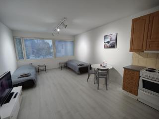 Cozy studio in Ulvila - Ulvila - 7