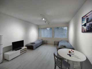 Cozy studio in Ulvila - Ulvila - 3