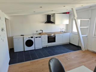 Neu saniertes Penthouse Apartment mit offener Wohnküche - Magdeburgo - 6