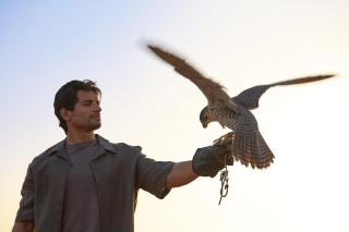 Al Maha, a Luxury Collection Desert Resort & Spa, Dubai - Murquab - 9