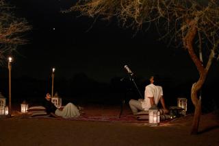 Al Maha, a Luxury Collection Desert Resort & Spa, Dubai - 5