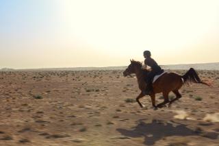 Al Maha, a Luxury Collection Desert Resort & Spa, Dubai - Murquab - 6