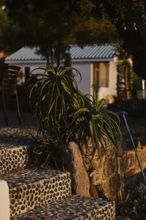 Sea You Soon & Spa 1 - Methana - 5