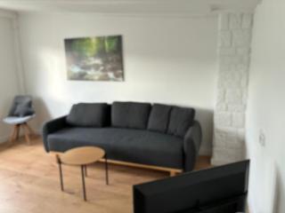 Neu saniertes Penthouse Apartment mit offener Wohnküche - Magdeburgo - 1