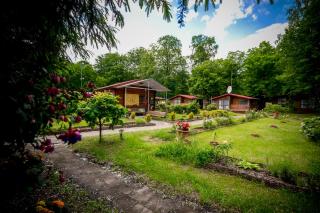 Ośrodek Wypoczynkowy Elemis - 2