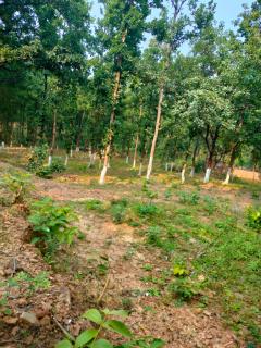 Aparajita Home Stay - - 9