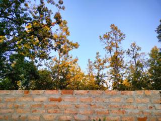Aparajita Home Stay - 8