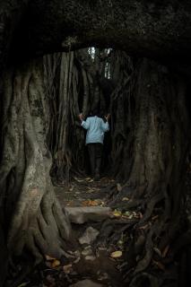 Seethavanam Farmstay at Forest Edge - Kollengode - 6