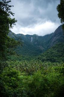 Seethavanam Farmstay at Forest Edge - 5