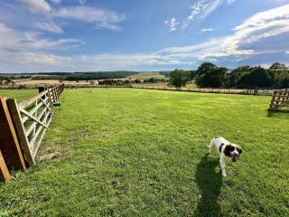 Bilsdale Cottage - 5