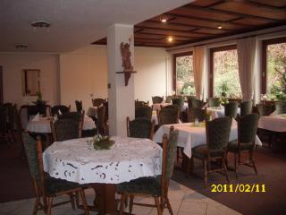 Landhotel Pingel - Sundern - 7