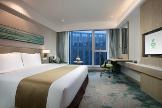 Holiday Inn Hangzhou Gongshu by IHG - Hangzhou - 8