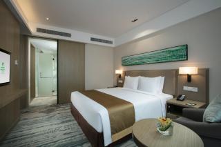 Holiday Inn Hangzhou Gongshu by IHG - Hangzhou - 4