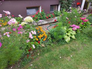 Paradise villa apartment - 5