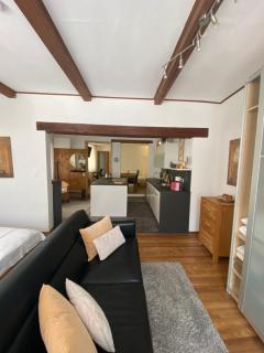 Apartment mit Sauna im Wienerwald - Mödling - Mödling - 3