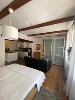 Apartment mit Sauna im Wienerwald - Mödling - Mödling - 4