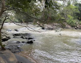 Exciting Tree house and 2 Chalets, Spring valley farm stay Buttala, Okkampitiya - 9