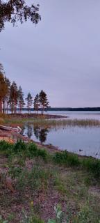 Villa Iltaranta - Cottage on the shore of Lake Saimaaa - 5