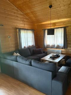 Uvdalhytta - close to cross country and downhill skiing - Sønstebø - 8