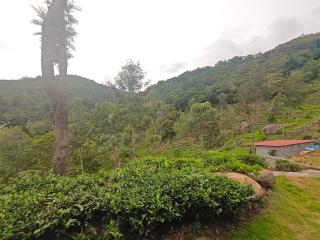 Hornbill Jungle Resort Kotagiri - 7