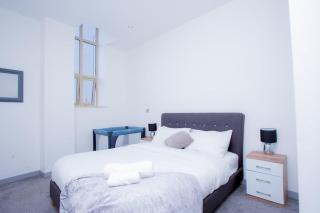 Spacious Urban City Apartment - 5