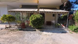 Victors house - 5