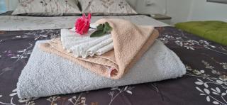 Apartmani Pejovic - 8