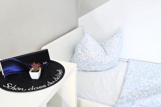 L21-Apartment Ottendorf-Okrilla, 1 Zimmer, 3 Betten, Standardisierte Ausstattung, ideal für Reisende, Pendler, Familien - Ottendorf-Okrilla - 4