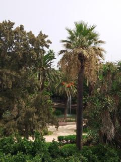 B&B Séjour chez l'habitant - Rabat - 8