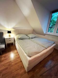 Ruhiges und zentrales Apartment in Wiesbaden - 0