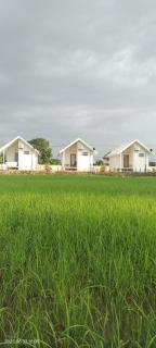 Tiny house homestay & cafe T2 - - 0