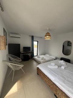 Vila Alaris Vama Veche - 6