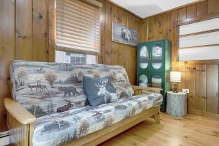 Twin Pines Retreat - Lake, Firepit and Games - 3