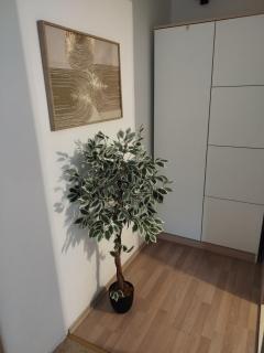 Apartmani Kraljević - Vodice - 2