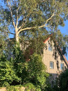 Beautiful vacation home with a view of the Baltic Sea - 9