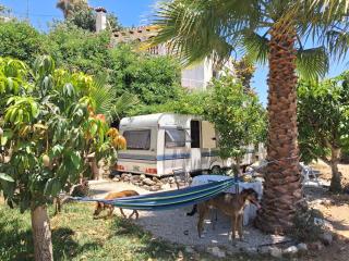 Caravan in Finca Molino in Almayate with with pool, family touch and dog madness - Almayate Alto - 6