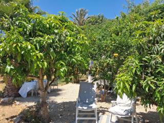 Caravan in Finca Molino in Almayate with with pool, family touch and dog madness - Almayate Alto - 3
