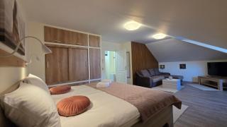 ALDOLA Inn - Râmnicu Vâlcea - 9