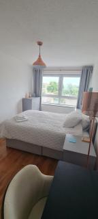 Room in shared family apartment in London SE18 - 5