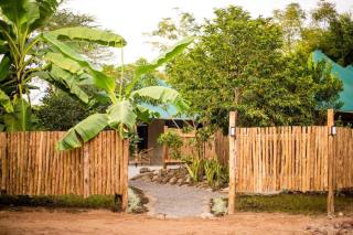 Uyoga House - - 1