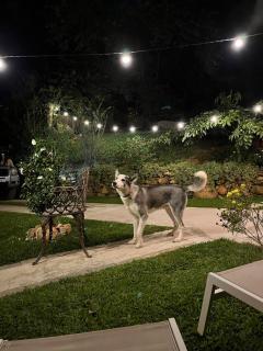 O Nosso Chalezinho nas montanhas com Jacuzzi - 9
