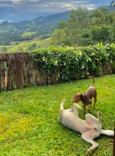 O Nosso Chalezinho nas montanhas com Jacuzzi - 6