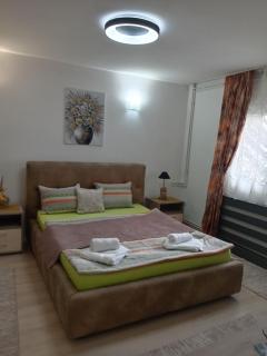 Apartmani Nana - Vrnjačka Banja - 9