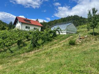 Weingut Kleinmonte - 7