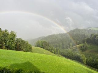 Weingut Kleinmonte - Leutschach - 6