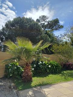 Maison tout confort au calme à 300m de la mer et du GR34 avec jardin - Loctudy - 6