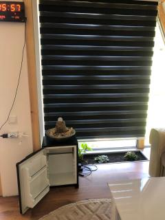 Vikednica ZEA -  - 4