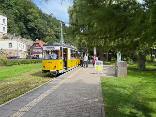 Haus Felsenruh - Bad Schandau - 9